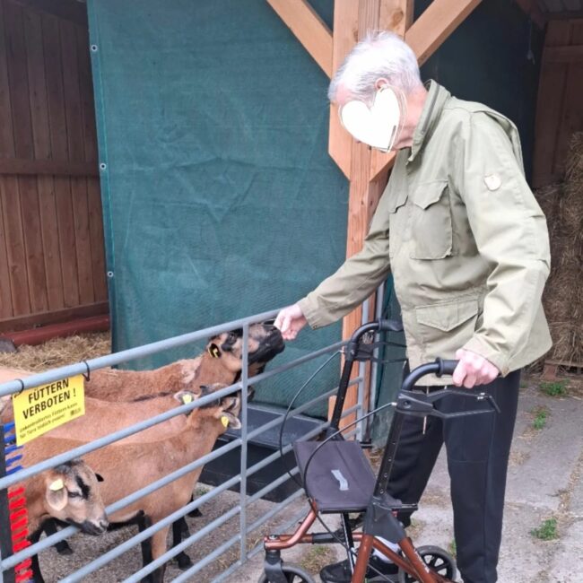 Besucher bei Ziegen