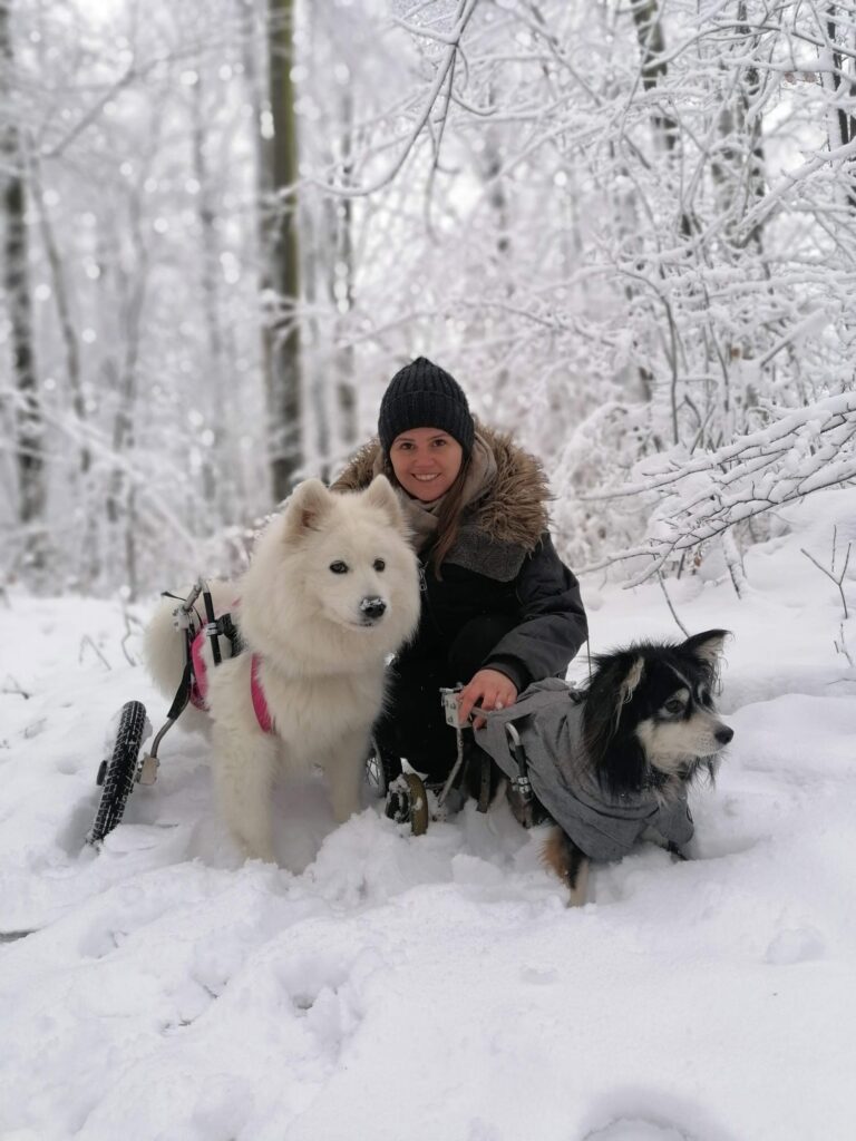 Frau Weiß mit ihren Hunden bei einer Winterrunde durch den Schnee