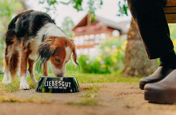 Ein Hund ist aus einer schwarzen Schale mit der Aufschrift Liebesgut