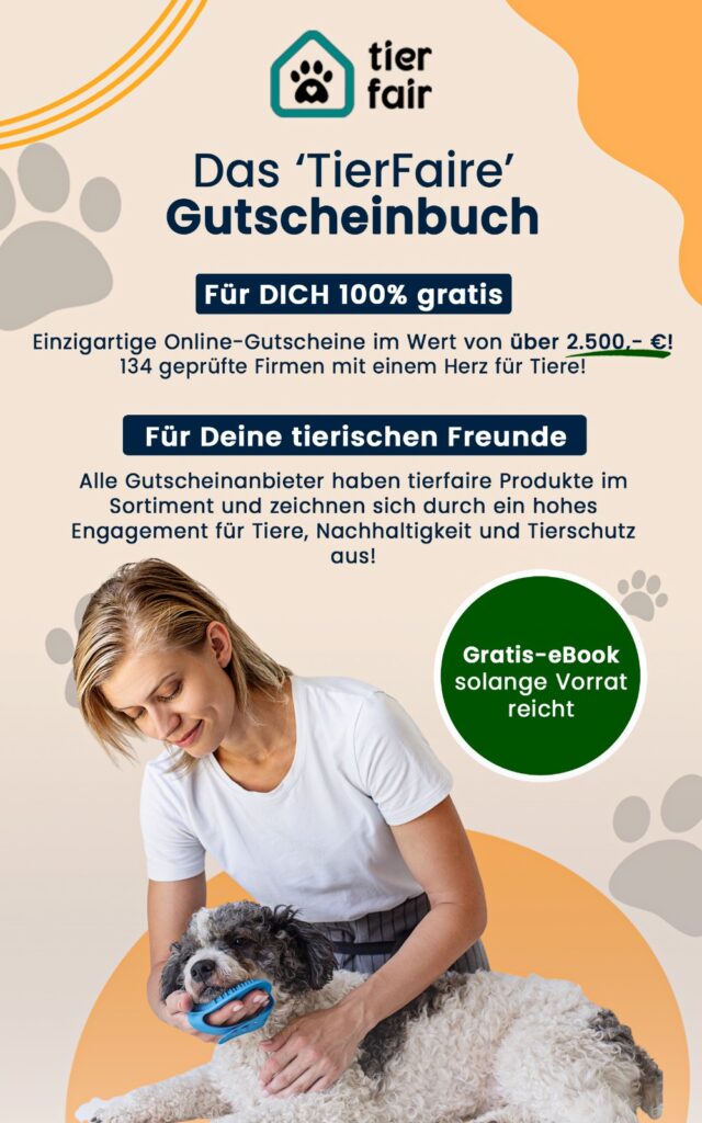 E-Book Cover