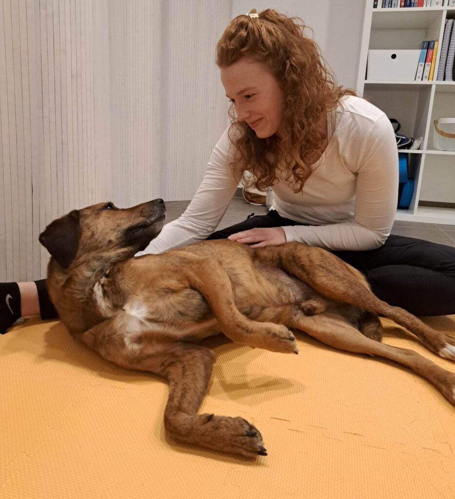 Tierphysiotherapeutin Emilie Gai bei der ganzheitlichen Therapie bei einem Hund