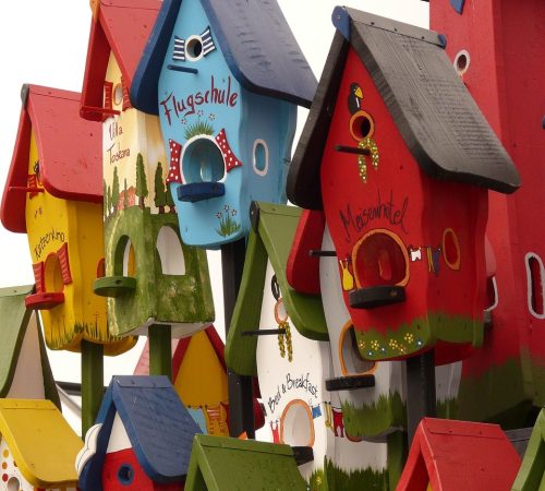 Viele verschiedene Vogelhäuser? Aber welches ist perfekt für Vögel?